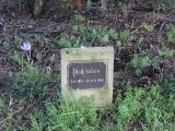 image of grave number 931235